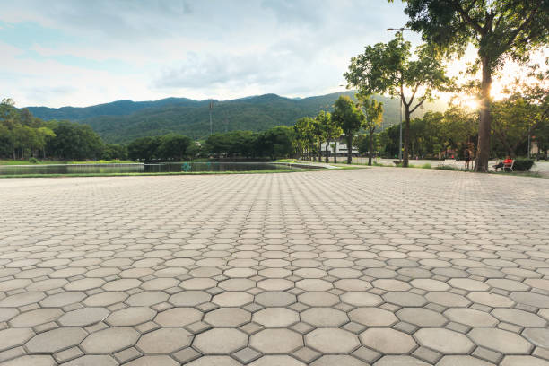 Best Driveway Pavers Near Me  in Gonzales, CA