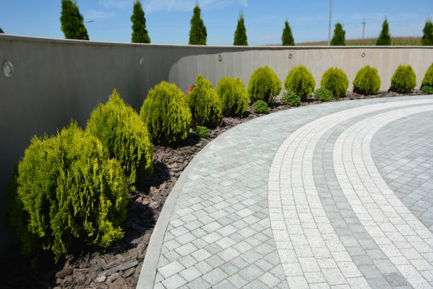 Best Residential Paver Driveway  in Gonzales, CA